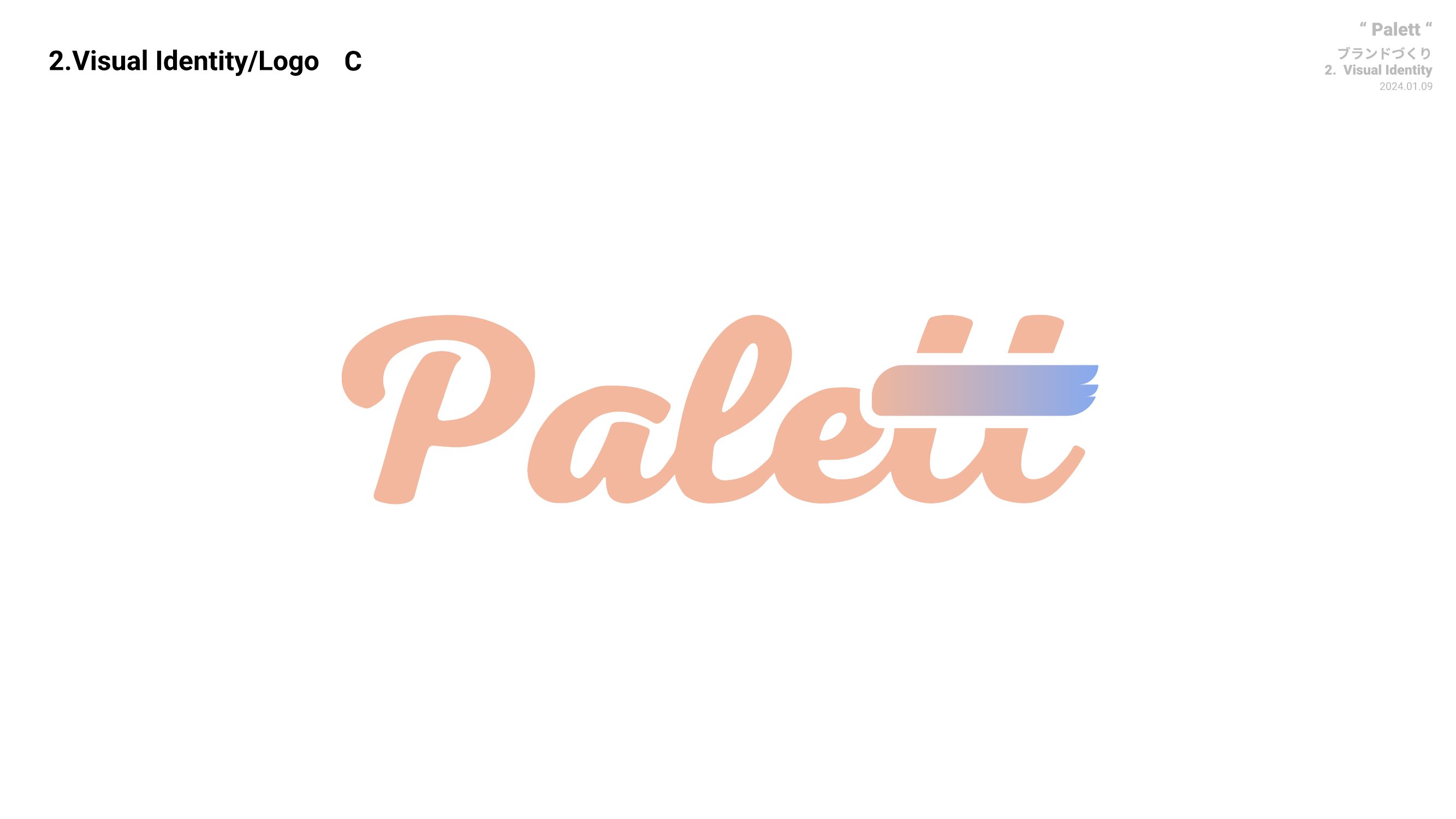 Visual Identity page 21